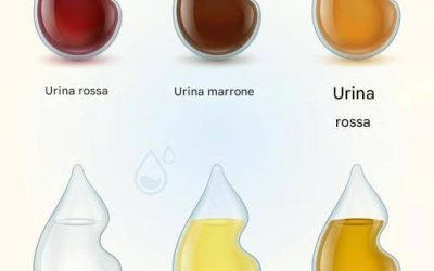 Cosa rivela il colore della tua urina sul tuo stato di salute?