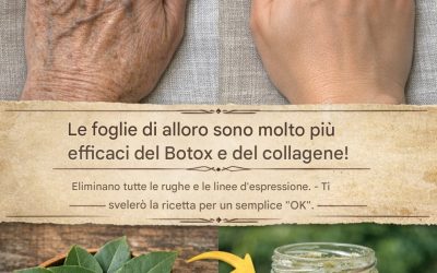 Le foglie di alloro sono molto più potenti del Botox e del collagene! Eliminano tutte le rughe e le linee d’espressione. Vorrei sapere se vuoi continuare a ricevere le mie ricette 🙏