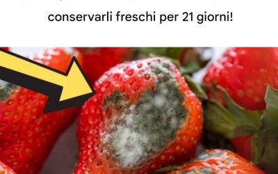 Come mantenere le bacche fresche più a lungo – fino a 21 giorni!-