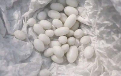 Ho trovato delle strane palline bianche nello zaino di mio figlio di 15 anni. Lui dice che sono solo caramelle, ma non gli credo.