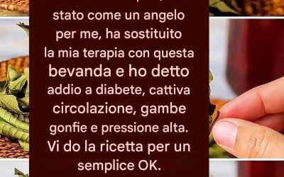Alloro e cannella: una combinazione potente per la tua salute