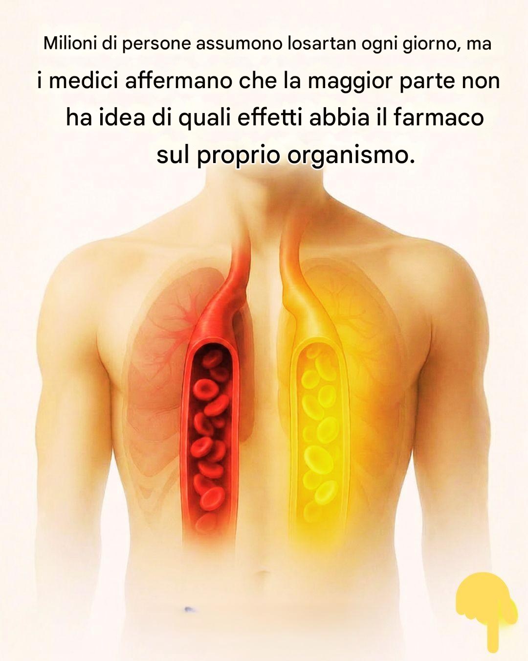 Cosa succede realmente al tuo corpo quando assumi LOSARTAN?