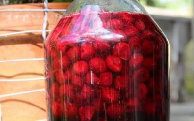 La Ricetta del Fragolino: Un Delizioso Liquore Casalingo da Provare