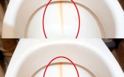Lo applico sullo scopino e pulisco il WC. Il calcare scompare in un batter d’occhio!!