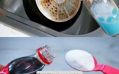 Pulito Naturale: Le Ricette Fatte in Casa che Trasformano la Tua Casa Senza Chimica!”