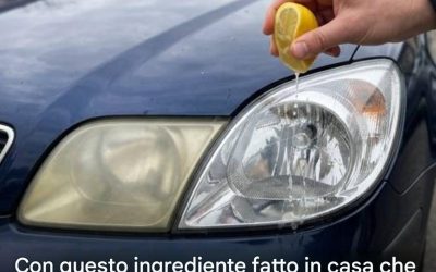 https://ricette.fkinw.com/il-figlio-della-cuccarini-si-e-sposato-con-la-fi-altro-2/