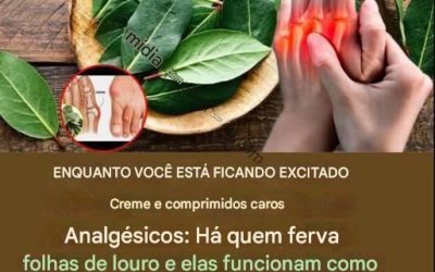 Foglie di alloro per dolori articolari e cattiva circolazione: un antico rimedio rivitalizzato