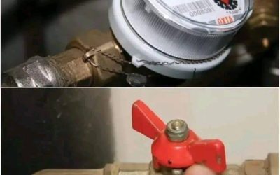 Come ho risparmiato 10 metri cubi d’acqua al mese: un metodo semplice che funziona davvero!