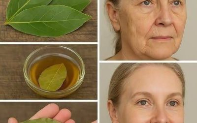 Foglie di alloro e salute della pelle: naturali, ma non magiche