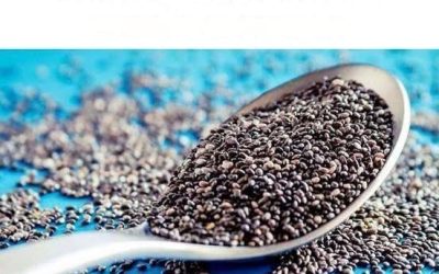 6 Chia Seed Effetti collaterali che dovresti sapere
