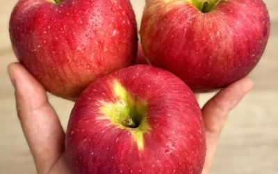I medici rivelano che mangiare mele regolarmente può trasformare la tua salute: da una digestione più efficiente e un colesterolo più basso a una