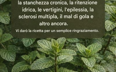 Menta e succo di limone: migliorano la memoria ed eliminano… Vedi altro