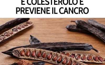 Cresce anche in Italia ma oggi è quasi dimenticato, eppure è così carico di benefici da essere un vero e proprio farmaco naturale. Nel primo commento ti