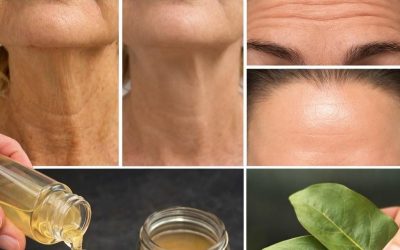 Perché le foglie di alloro sono un rimedio naturale per le rughe – 100.000 volte più efficaci del Botox!