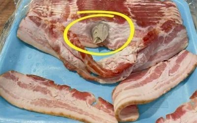 Sono andato al supermercato e ho comprato del bacon, l’ho portato a casa per mangiarlo. Quando ho aperto la confezione e ho preso qualche fetta, ho trovato questo dentro. Onestamente, mi è passato l’appetito all’istante. Sono rimasto seduto in cucina per mezz’ora a fissarlo, cercando di capire cosa fosse. Qualcuno sa di cosa si tratta? Controllate il primo commento per la risposta 👇