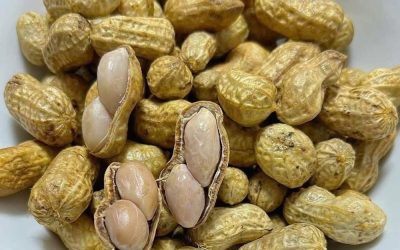 I medici rivelano che mangiare arachidi provoca…