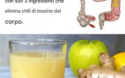 Sostieni la tua digestione in modo naturale
