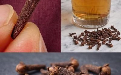 Probabilmente hai sentito parlare di garofani, ma non hai mai saputo quanto sia potente l’acqua del garofano